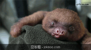 图片[4]-感觉来了 种族不是问题!-囧客圈