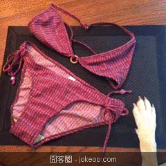 图片[6]-小动物们又来了-囧客圈