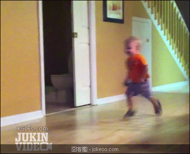 图片[5]-猫,你为什么那么屌-囧客圈