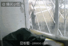 图片[5]-小动物们又来了-囧客圈