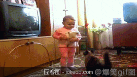 图片[3]-猫,你为什么那么屌-囧客圈