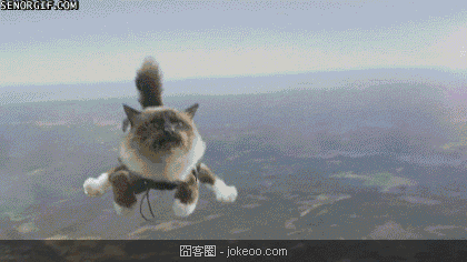 图片[2]-2货是不分种族物种的-囧客圈