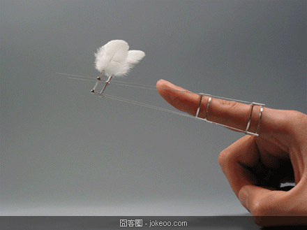 图片[3]-每日一囧-囧客圈