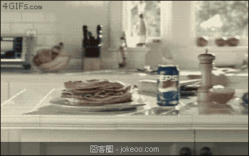 图片[4]-每日萌物 汪星人的胜利 02-02-囧客圈