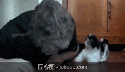 图片[3]-囧囧动物园 进击的贝壳 02-03-囧客圈