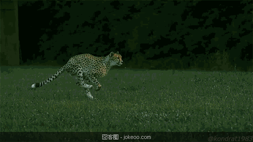 图片[2]-看起来味道不错!-囧客圈