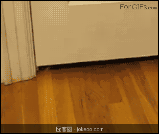 图片[3]-每日一囧 尾椎骨碎了02-12-囧客圈