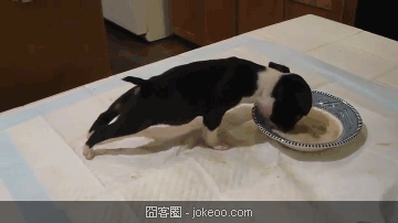 图片[2]-囧囧动物园 02-14-囧客圈