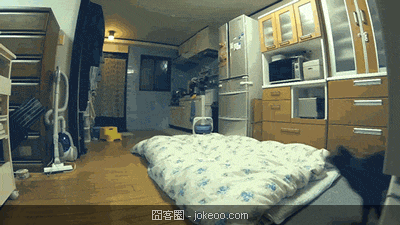 图片[3]-囧囧动物园 02-14-囧客圈