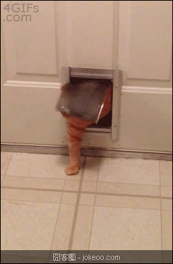 图片[1]-囧囧动物园 02-16-囧客圈