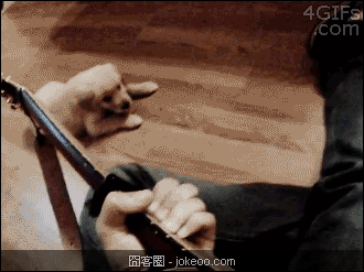 图片[3]-囧囧动物园 02-16-囧客圈