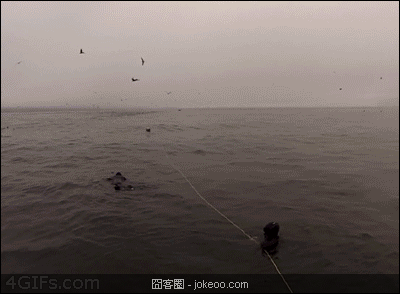 图片[4]-每日一囧 偷电视的策略 02-19-囧客圈