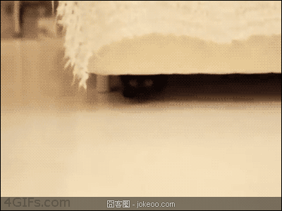 图片[4]-囧囧动物园 02-16-囧客圈