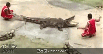 图片[4]-卧槽,这事儿一般没人敢做-囧客圈