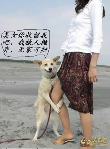 d2041822jw1efstvvhmybj209u0dcjsd