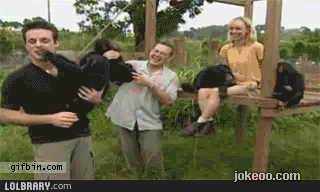 图片[2]-囧囧动物园 原来大象也很坏! 1441-囧客圈