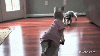 图片[4]-囧囧动物园 原来大象也很坏! 1441-囧客圈