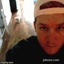 图片[4]-每日动物园 朋友你的猫疯了 14415-囧客圈