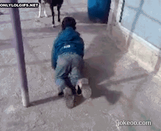 图片[4]-地球人完败了-囧客圈