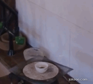 图片[4]-神奇的反应！-囧客圈