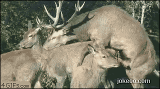 图片[4]-每日一囧 准备了那么就就为这一刻 1442-囧客圈