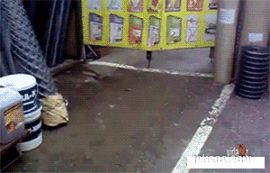 图片[1]-马赛克真是一个邪恶的东西！-囧客圈