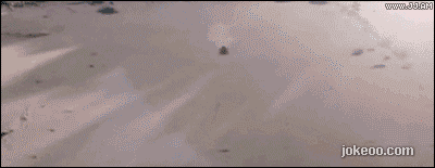 图片[4]-每日一囧 悲催的交警 14426-囧客圈