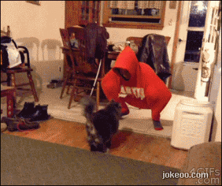 图片[1]-主人，我们还能一起好好玩游戏么-囧客圈