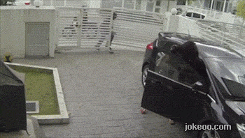 图片[4]-双十一奋战那么紧张,来点逗逼乐乐吧-囧客圈