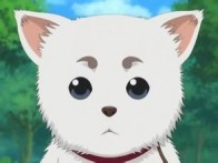 770d43292160d6438845_size9_w293_h220