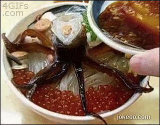 图片[3]-每日一囧 好色女主播!-囧客圈