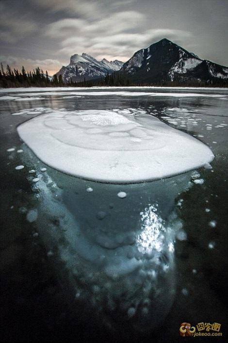 d2423ce1gw1eord59mqqvj20d20jomzj