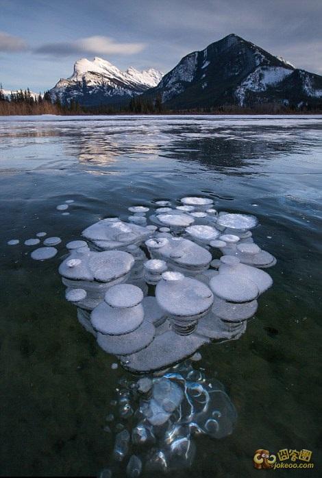 d2423ce1gw1eord5ao2edj20d20jd0vi