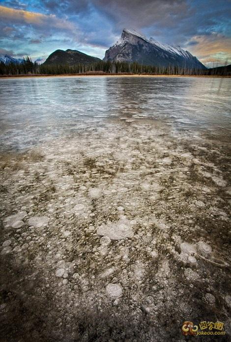 d2423ce1gw1eord5cr0owj20d20ja430