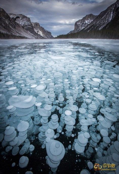 d2423ce1gw1eord5f1nwzj20d20j5jur