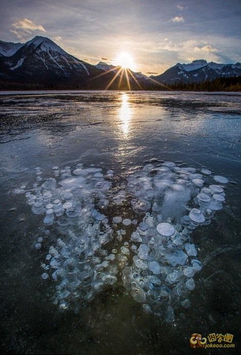 d2423ce1gw1eord5fxau2j20d20j777i