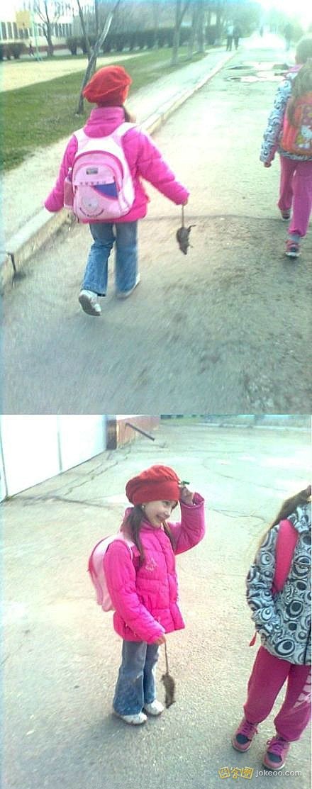 686e28e2jw1er48hibselj20c80ux412