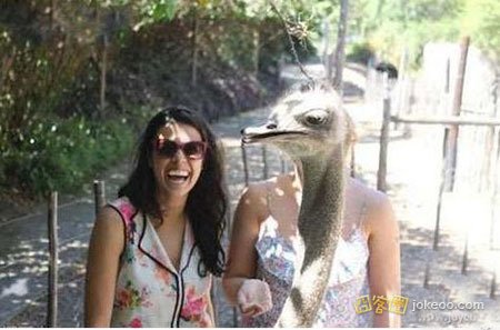 686e28e2jw1er48hxfja8j20ci089755