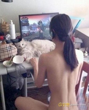 686e28e2jw1er48i2fyakj20ak0cymxz