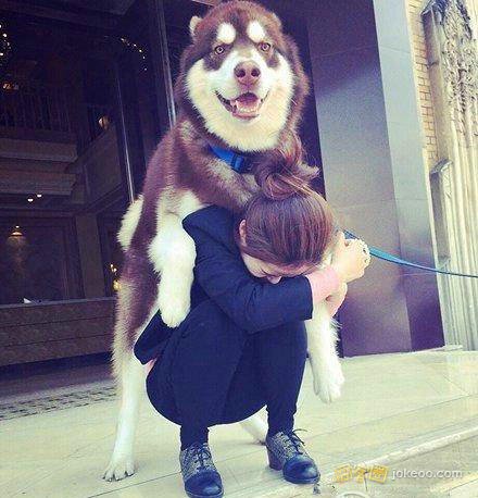 c0270339jw1erzk3js03kj20c80cqgmi