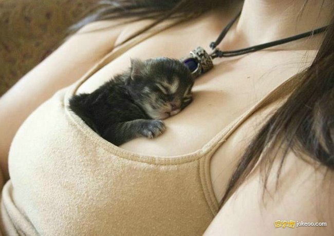 a9c73ce5jw1esr1diz8i9j20i20csjsq