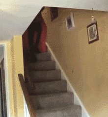 d39a6ee7jw1eu4ci4sz0dg206406owyo