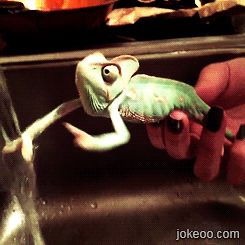 图片[1]-爷要征服这根水柱!-囧客圈