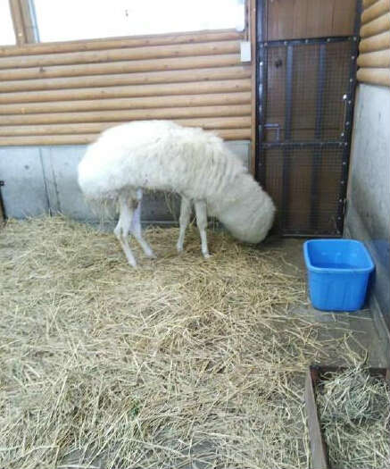 b8fbd42efb0db9c4e155c377e5f9c8e1