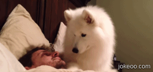 图片[1]-快起床啦死鬼-囧客圈