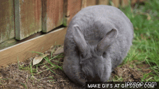 图片[1]-累了休息一会儿-囧客圈