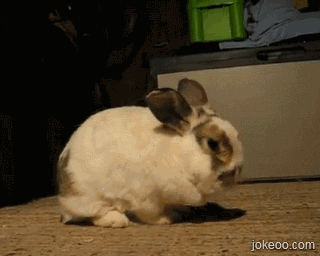 图片[2]-累了休息一会儿-囧客圈