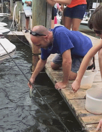 图片[6]-看老外怎样捉鱼-囧客圈