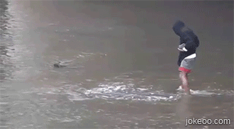 图片[2]-看老外怎样捉鱼-囧客圈