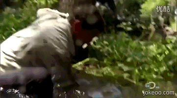 图片[5]-看老外怎样捉鱼-囧客圈